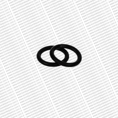 Eca Proteus Plus Ana Eşanjör Oring